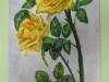 dscn1283