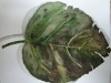 dscn1288